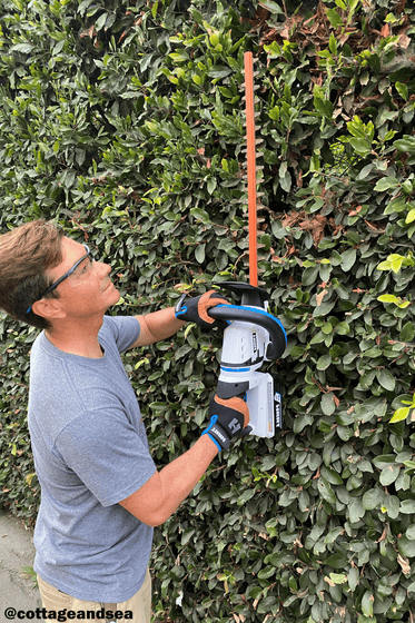 40V 24" Cordless Hedge Trimmer Kit